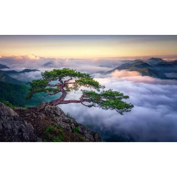 Plakát Plakát, Obraz - On the rock, Tiger Seo