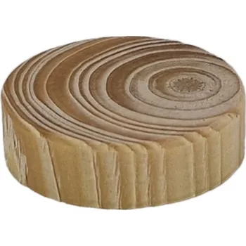 TS Vyspravovací zátka, suk 25 mm smrk