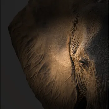 Plakát Plakát, Obraz - Gentle Giant, Louise	Wolbers