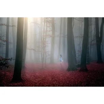 Plakát Plakát, Obraz - Red wood, stanislav hricko