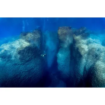 Plakát Plakát, Obraz - Follow me, charlie Jung