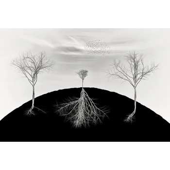 Plakát Plakát, Obraz - weakness is not your weakness, Marchevca Bogdan