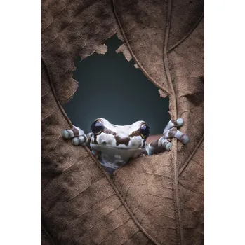 Plakát Plakát, Obraz - hello..., Rini Widyantini