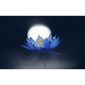 Plakát Plakát, Obraz - Fleeting dream, Takashi Suzuki