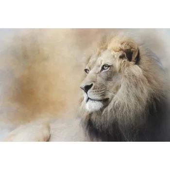 Plakát Plakát, Obraz - In Deep Thought, Linda D Lester