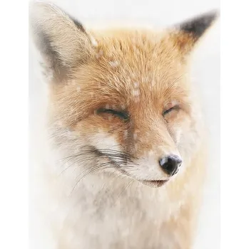 Plakát Plakát, Obraz - Satisfied, Doris Reindl