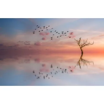 Plakát Plakát, Obraz - S.T. 006, Dorian Gray