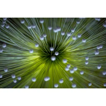 Plakát Plakát, Obraz - Inverted Commas, Wave	Faber