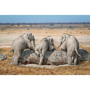 Plakát Plakát, Obraz - Three Guys, Marcel Egger