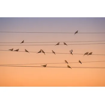 Plakát Plakát, Obraz - Music of Light, John Fan