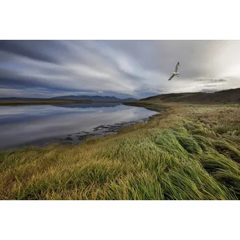 Plakát Plakát, Obraz - Stillness, Bragi Ingibergsson