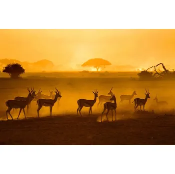 Plakát Plakát, Obraz - Be careful, Mathilde Guillemot