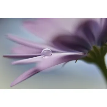 Plakát Plakát, Obraz - The peaceful drop, Heidi Westum