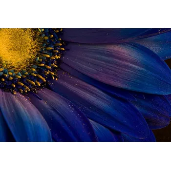 Plakát Plakát, Obraz - Blue Rays, Þorsteinn H. Ingibergsson