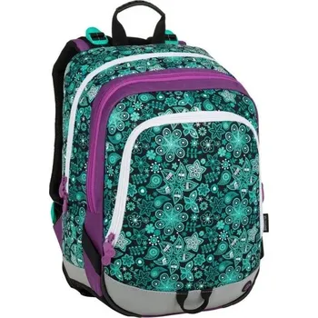 Školní batoh Vícekomorový Školní batoh Bagmaster fialový, zelený 19 l