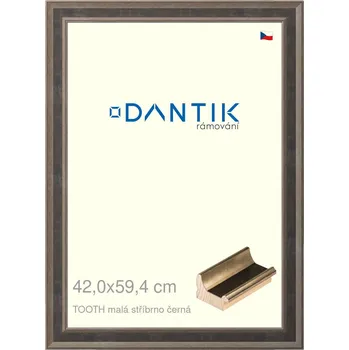 Rám na obraz DANTIK rámeček 42x59,4 | TOOTH malá stříbrno černá (Plexi Čiré) (Vyrobeno s láskou u nás v DANTIKU)