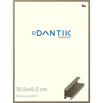 Rám na obraz DANTIK rámeček 30x40 | ALU profil 6001 champagne (Plexi Čiré) (Vyrobeno s láskou u nás v DANTIKU)