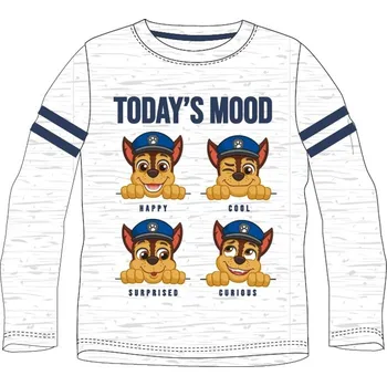 Chlapecké tričko DOVOZ EU CHLAPECKÉ TRIČKO PAW PATROL DLOUHÝ RUKÁV šedé Velikost: 116
