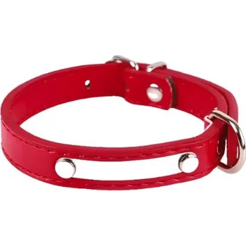 Obojek pro psa Surtep Animals Obojek pro psa Luxury Winiw Barva: Červená, Velikost: XS