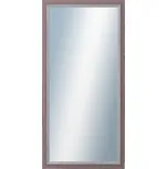 DANTIK - Zarámované zrcadlo - rozměr s rámem cca 60x120 cm z lišty AMALFI fialová (3117)