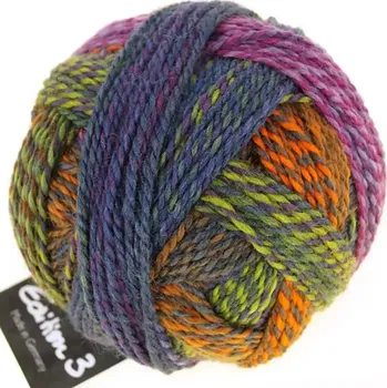 Příze Schoppel Wolle Edition 3 2328 Gartentage (Příze Edition 3 2328 Gartentage)