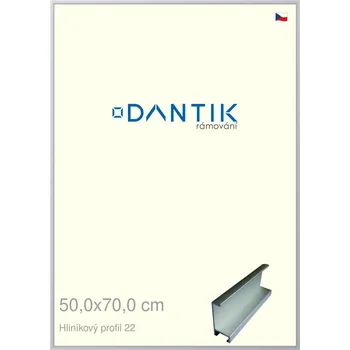 Rám na obraz DANTIK rámeček 50x70 | ALU profil 7022 Stříbrná matná (Plexi Čiré) (Vyrobeno s láskou u nás v DANTIKU)