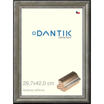 Rám na obraz DANTIK rámeček 29,7x42 | ANIVERSA stříbrná (Plexi Čiré) (Vyrobeno s láskou u nás v DANTIKU)