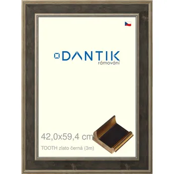 Rám na obraz DANTIK rámeček 42x59,4 | TOOTH zlato černá (Plexi Čiré) (Vyrobeno s láskou u nás v DANTIKU)
