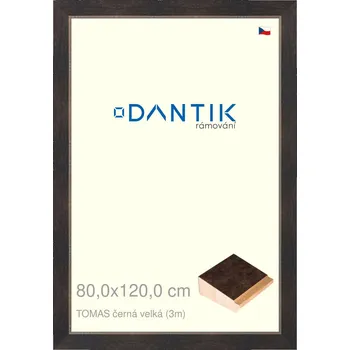 Rám na obraz DANTIK rámeček 80x120 | TOMAS černá velká (Plexi Čiré) (Vyrobeno s láskou u nás v DANTIKU)