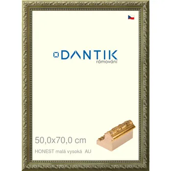 Rám na obraz DANTIK rámeček 50x70 | HONEST malá vysoká AU (Plexi Čiré) (Vyrobeno s láskou u nás v DANTIKU)