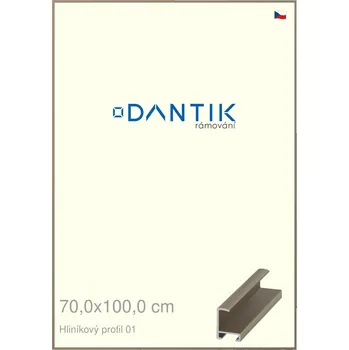 Rám na obraz DANTIK rámeček 70x100 | ALU profil 6001 champagne (Plexi Čiré) (Vyrobeno s láskou u nás v DANTIKU)