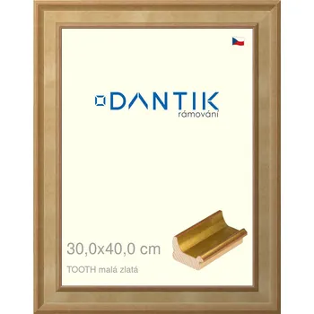 Rám na obraz DANTIK rámeček 30x40 | TOOTH malá zlatá (Plexi Čiré) (Vyrobeno s láskou u nás v DANTIKU)