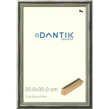 Rám na obraz DANTIK rámeček 20x30 | Y-ka černá linka (Sklo Čiré) (Vyrobeno s láskou u nás v DANTIKU)
