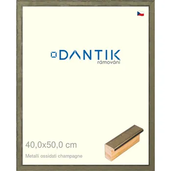 Rám na obraz DANTIK rámeček 40x50 | Metalli oidati champagne (Plexi Čiré) (Vyrobeno s láskou u nás v DANTIKU)