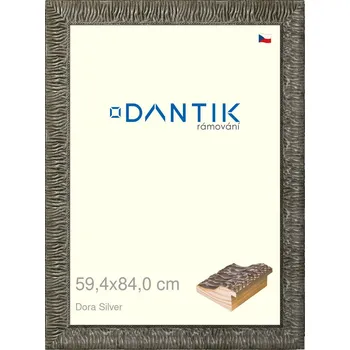 Rám na obraz DANTIK rámeček 59,4x84 | Dora Silver (Plexi Čiré) (Vyrobeno s láskou u nás v DANTIKU)