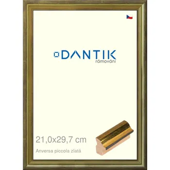 Rám na obraz DANTIK rámeček 21x29,7 | ANIVERSA piccola zlatá (Sklo Čiré) (Vyrobeno s láskou u nás v DANTIKU)