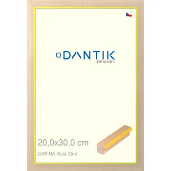 Rám na obraz DANTIK rámeček 20x30 | CARINA žlutá (Sklo Čiré) (Vyrobeno s láskou u nás v DANTIKU)
