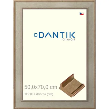 Rám na obraz DANTIK rámeček 50x70 | TOOTH stříbrná (Plexi Čiré) (Vyrobeno s láskou u nás v DANTIKU)