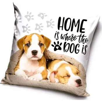 Povlak na dekorativní polštářek POVLAK NA POLŠTÁŘ PEJSCI Ca 195006 bílý Velikost: uni