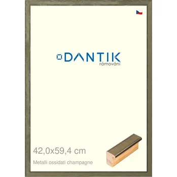Rám na obraz DANTIK rámeček 42x59,4 | Metalli oidati champagne (Plexi Čiré) (Vyrobeno s láskou u nás v DANTIKU)