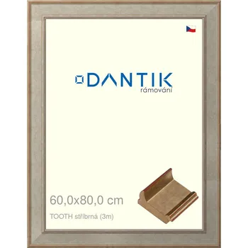 Rám na obraz DANTIK rámeček 60x80 | TOOTH stříbrná (Plexi Čiré) (Vyrobeno s láskou u nás v DANTIKU)
