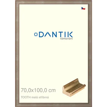 Rám na obraz DANTIK rámeček 70x100 | TOOTH malá stříbrná (Plexi Čiré) (Vyrobeno s láskou u nás v DANTIKU)