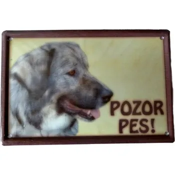 Plechová cedule Plechová psí cedule, Kavkazský ovčák, Pozor pes