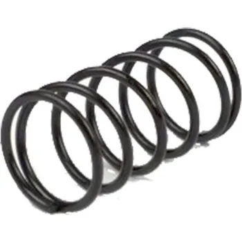 RMS Pružiny spojky RMS 121950140