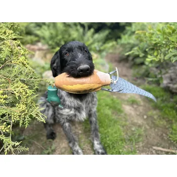 tréninková pomůcka pro psa Dokken's Dokken 's Dead Fowl Bažant polní Atrapa zvěře 520g