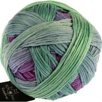 Příze Schoppel Wolle Gradient 2437 Alles Paletti (Příze Gradient 2437 Alles Paletti)