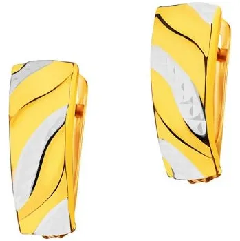 Náušnice Zlaté náušnice - AP529-6534