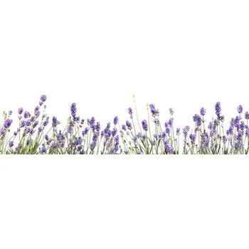Tapeta Samolepící PVC tapeta do kuchyně mySPOTTI Splash levandule Lilou 2200 x 600 mm SP-F1-1815