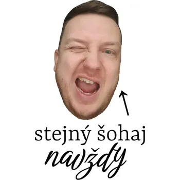 Svatební dekorace Rozlučkové tetovačky č.15 (12 ks) - Stejný šohaj navždy