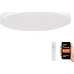 Immax NEO 07149-W40 - LED Stmívatelné svítidlo NEO LITE 24W/230V Tuya Wi-Fi + DO 123175353